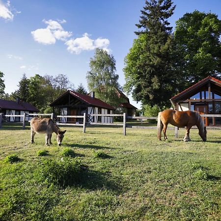 Reiterhof Lillge Villa Schorfheide Eksteriør billede