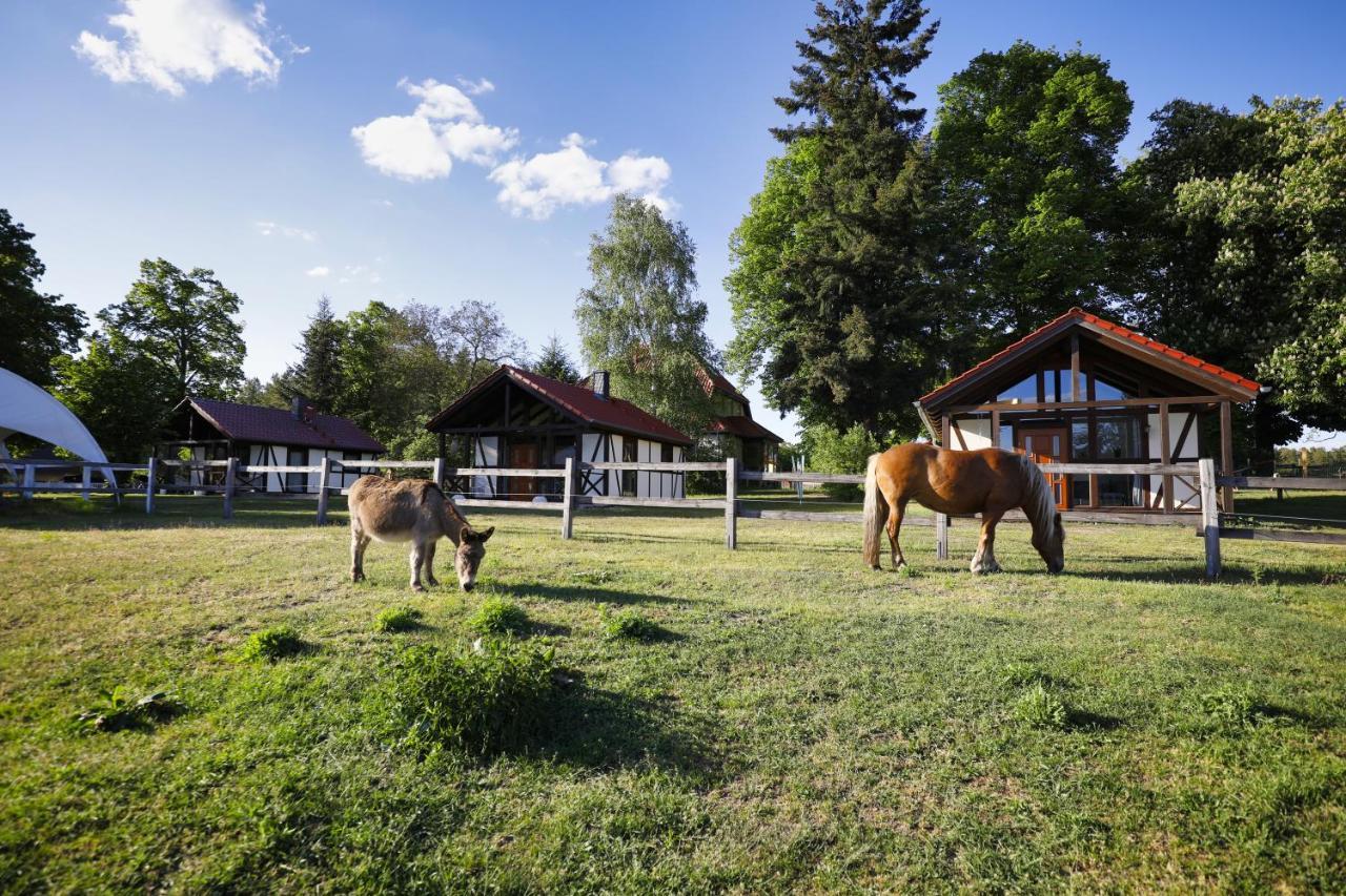 Reiterhof Lillge Villa Schorfheide Eksteriør billede
