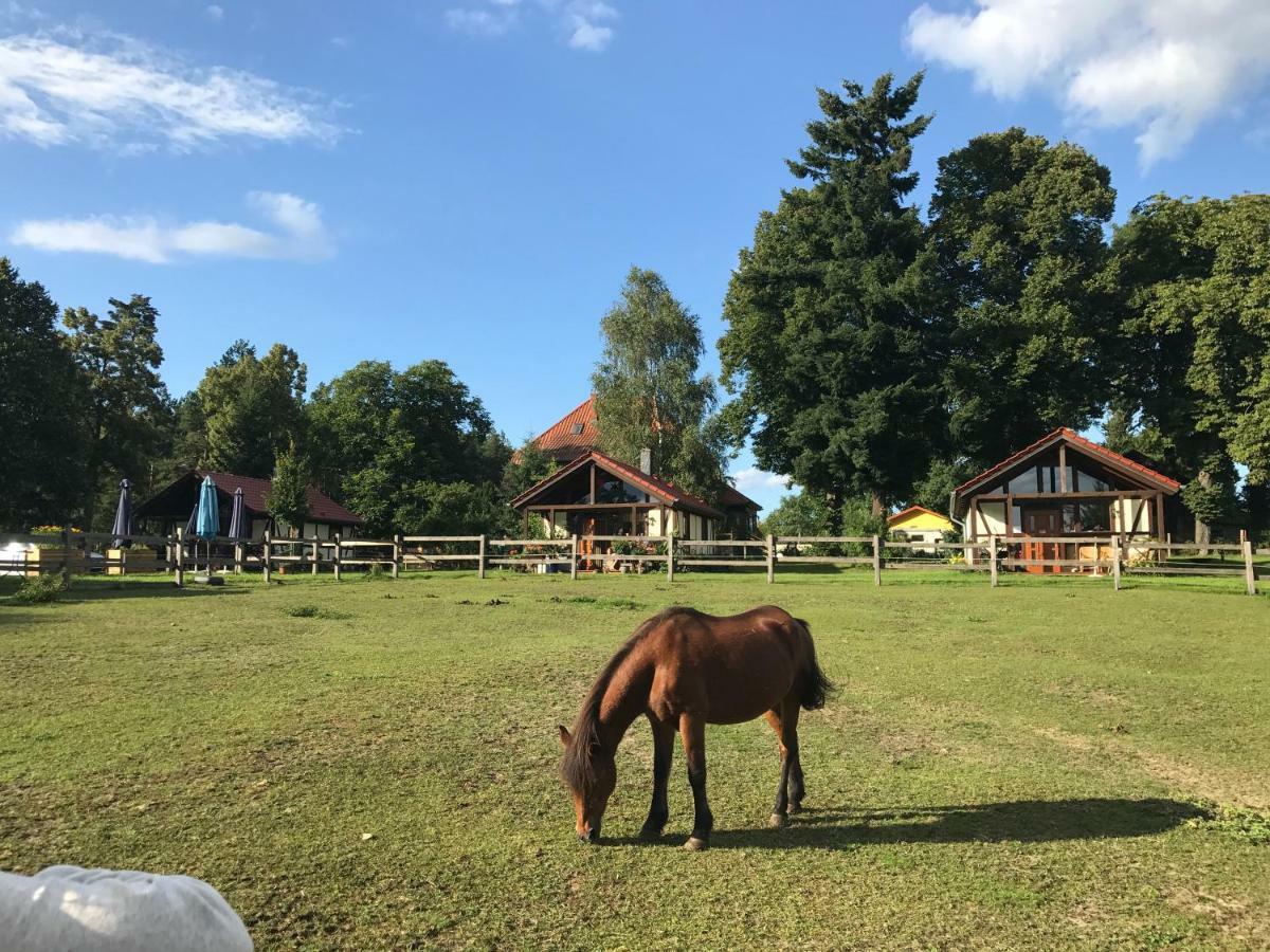 Reiterhof Lillge Villa Schorfheide Eksteriør billede